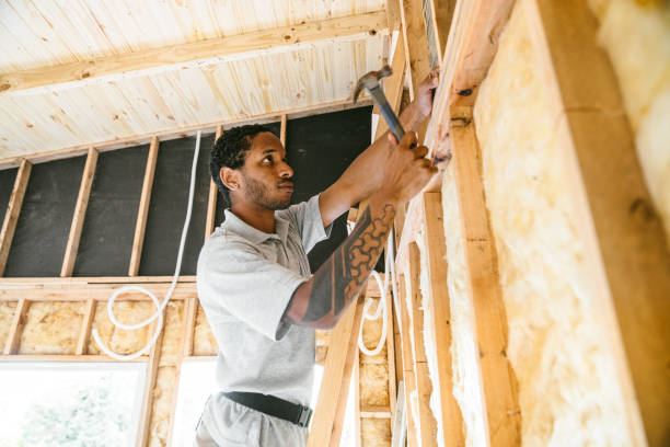 Best Attic Insulation Installation  in Mayville, MI